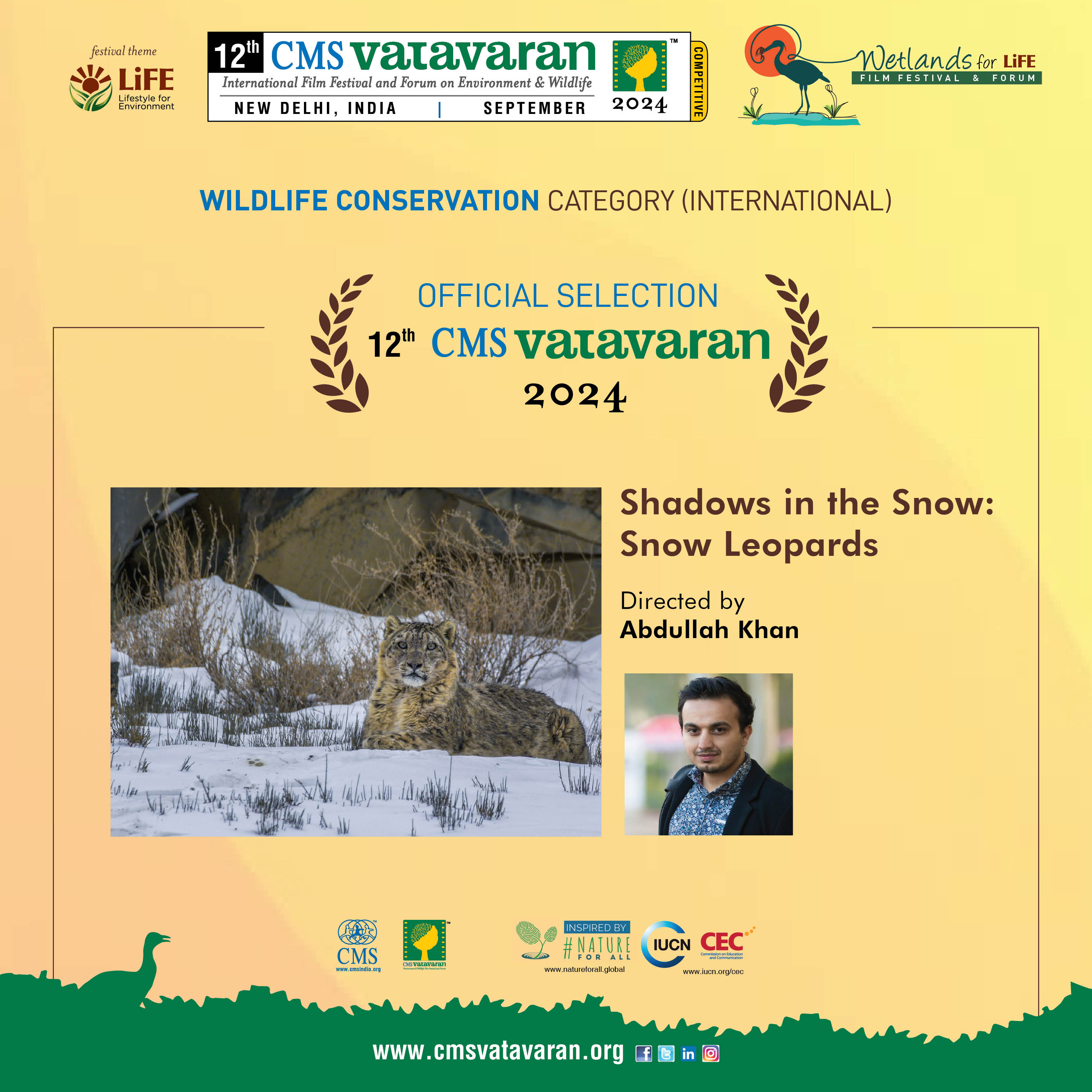 Shadows in the Snow: Snow Leopards
